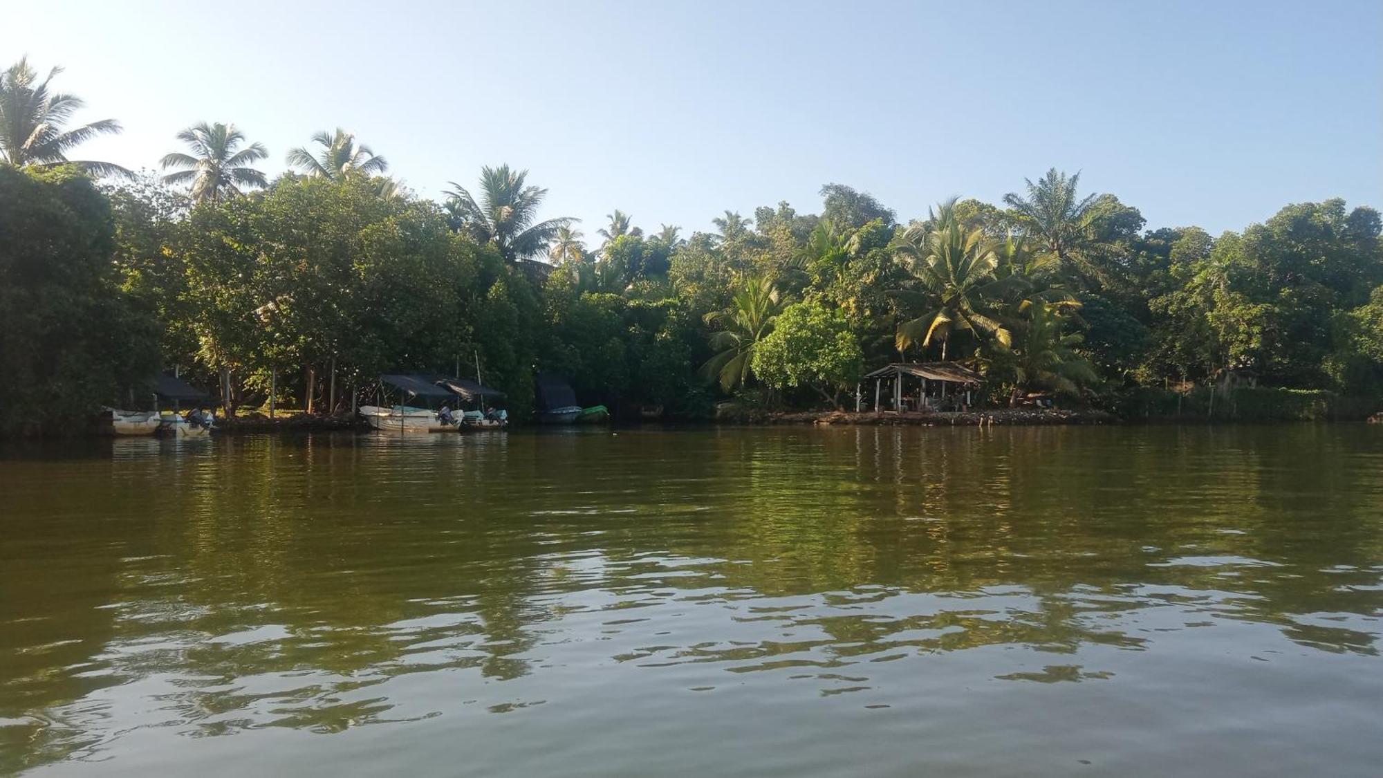 Little Swan Guest House เบนโตตา ภายนอก รูปภาพ