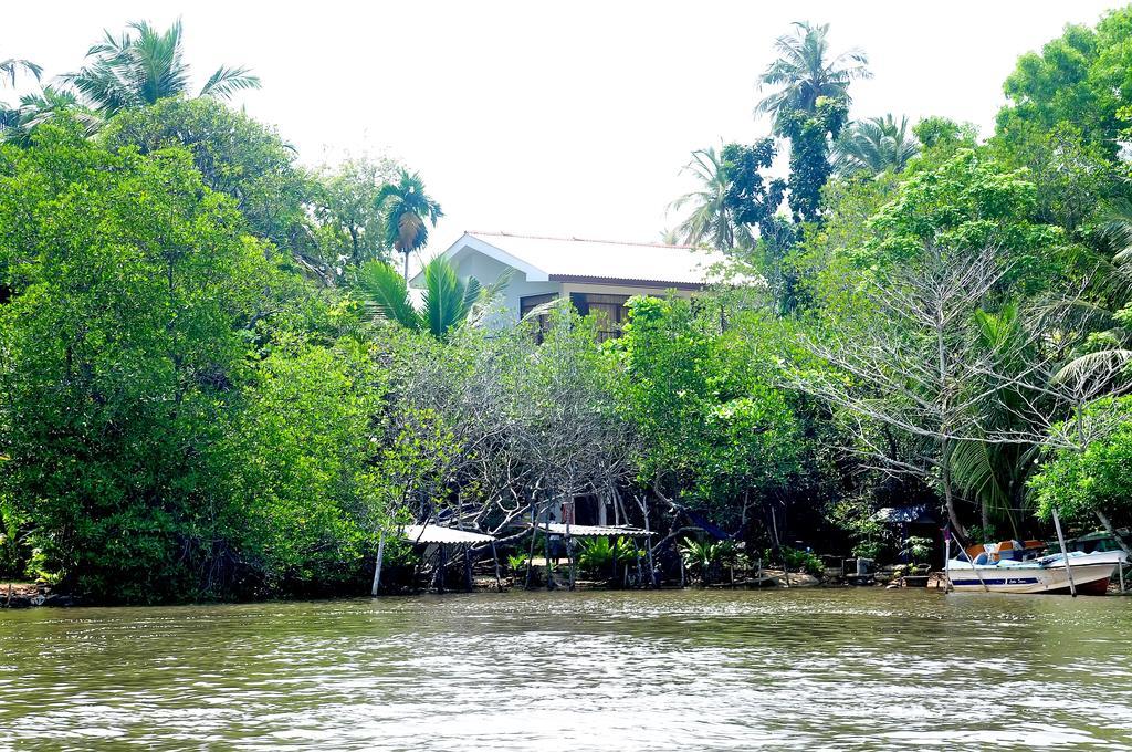 Little Swan Guest House เบนโตตา ภายนอก รูปภาพ